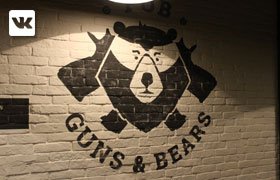 Guns  Bears